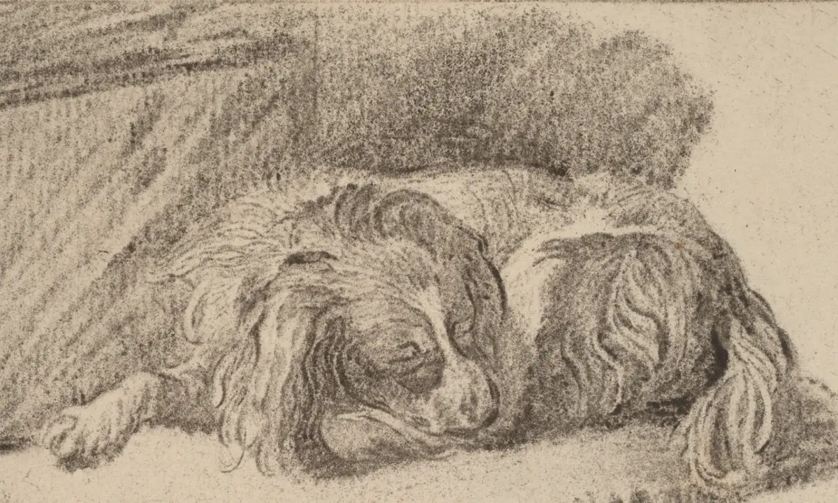 Lying Dog, 1777, chalk manner printed in black ink on laid paper. By Cornelis Ploos van Amstel (editor) and Cornelis Brouwer (printmaker), after Frans van Mieris.